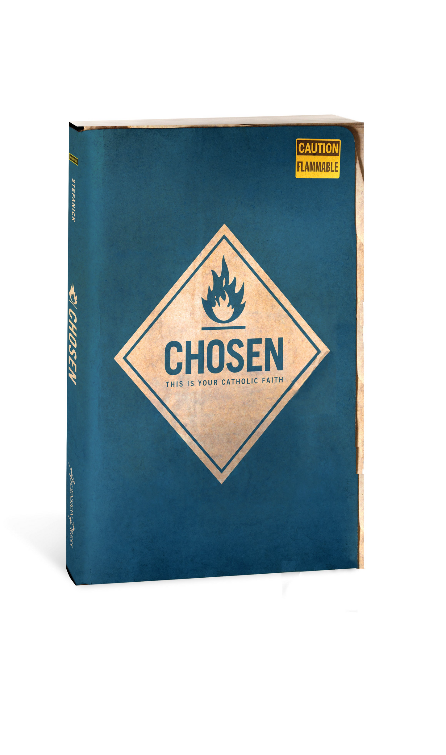 Chosen: This is Your Catholic Faith Student Workbook