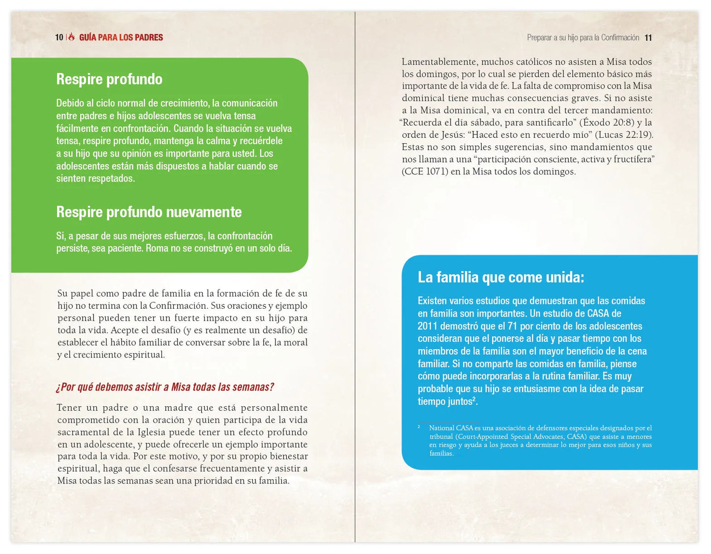 Elegido: tu camino hacia la Confirmación - Guía de los padres