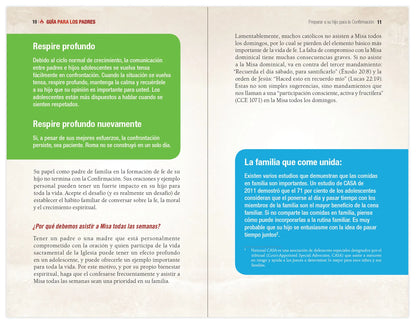 Elegido: tu camino hacia la Confirmación - Guía de los padres
