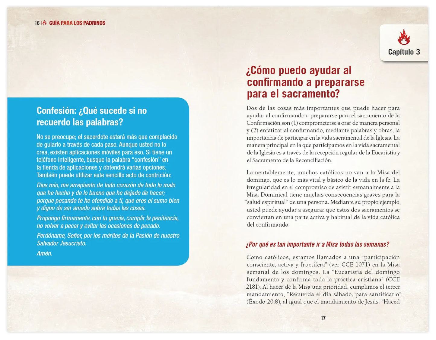 Elegido: tu camino hacia la Confirmación - Guía del padrino de Confirmación