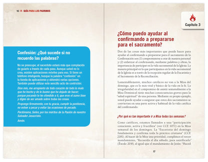 Elegido: tu camino hacia la Confirmación - Guía del padrino de Confirmación