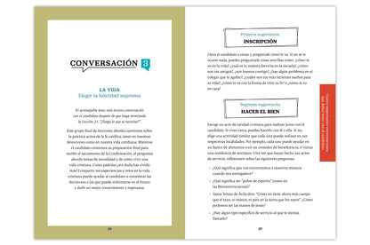 Chosen: Your Journey to Confirmation, Sponsor's Guide