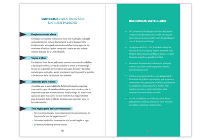 Chosen: Your Journey to Confirmation, Sponsor's Guide