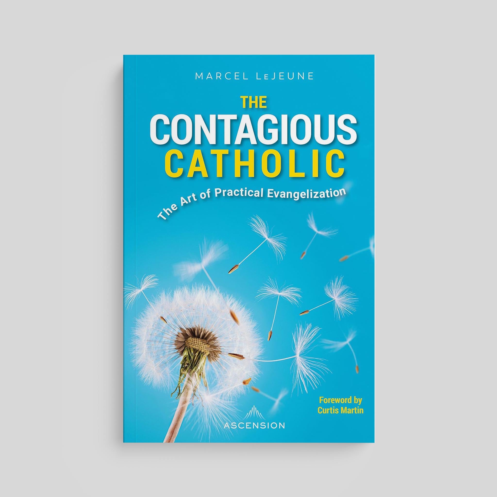 El católico contagioso: El arte de la evangelización práctica