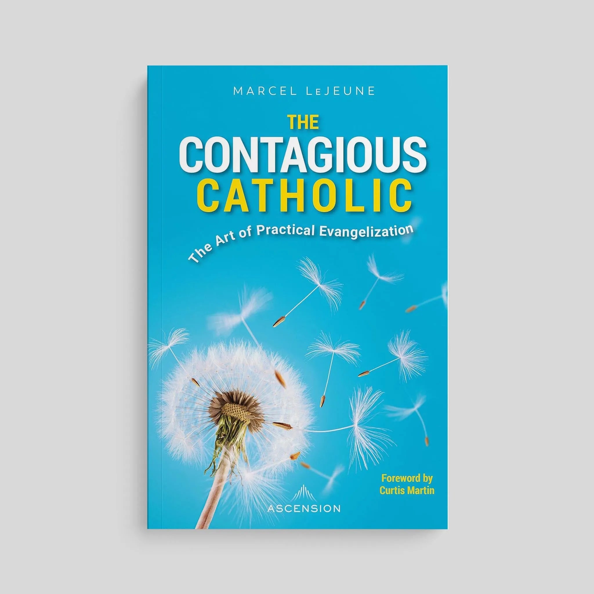 Paperback