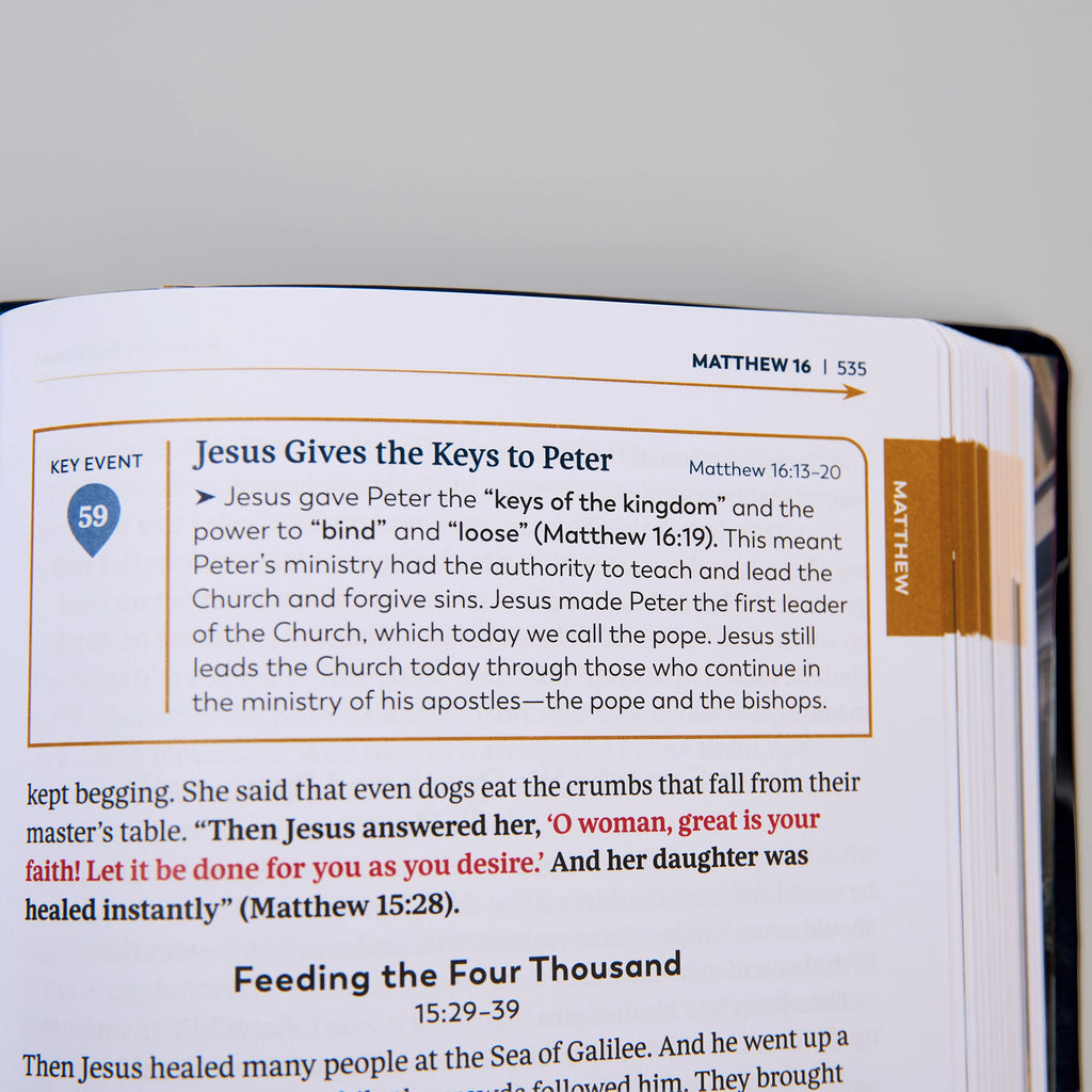 The Great Adventure Catholic Bible for Beginners (Level 2), Classroom Edition