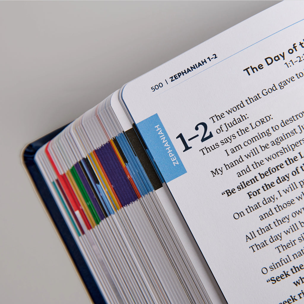The Great Adventure Catholic Bible for Beginners (Level 2), Classroom Edition