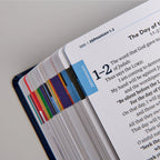 The Great Adventure Catholic Bible for Beginners (Level 2), Classroom Edition