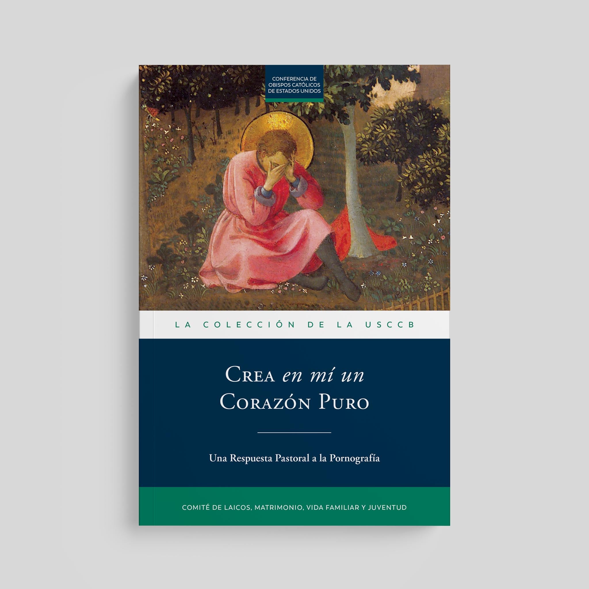 Create in Me a Pure Heart: A Pastoral Response to Pornography