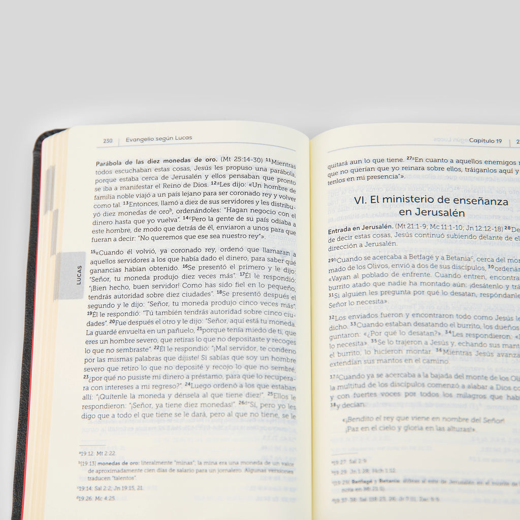 La Biblia de la Iglesia en América: Nuevo Testamento