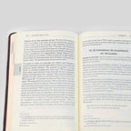 La Biblia de la Iglesia en América: Nuevo Testamento