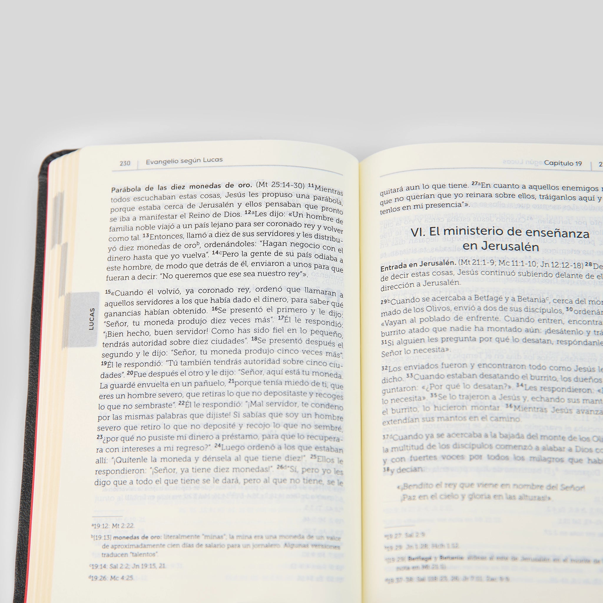 La Biblia de la Iglesia en América: Nuevo Testamento