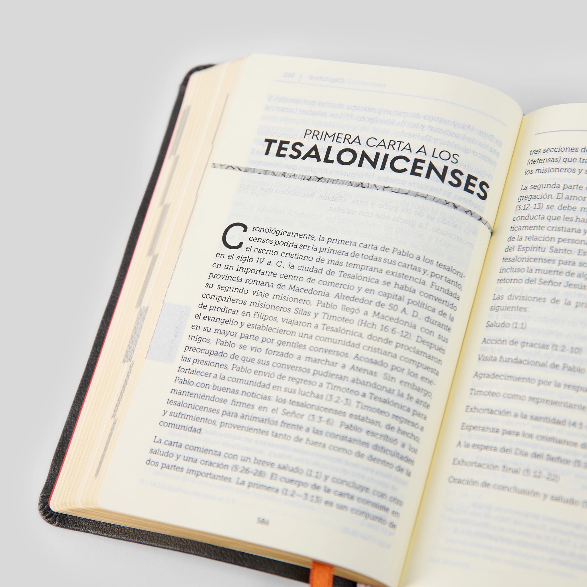 La Biblia de la Iglesia en América: Nuevo Testamento