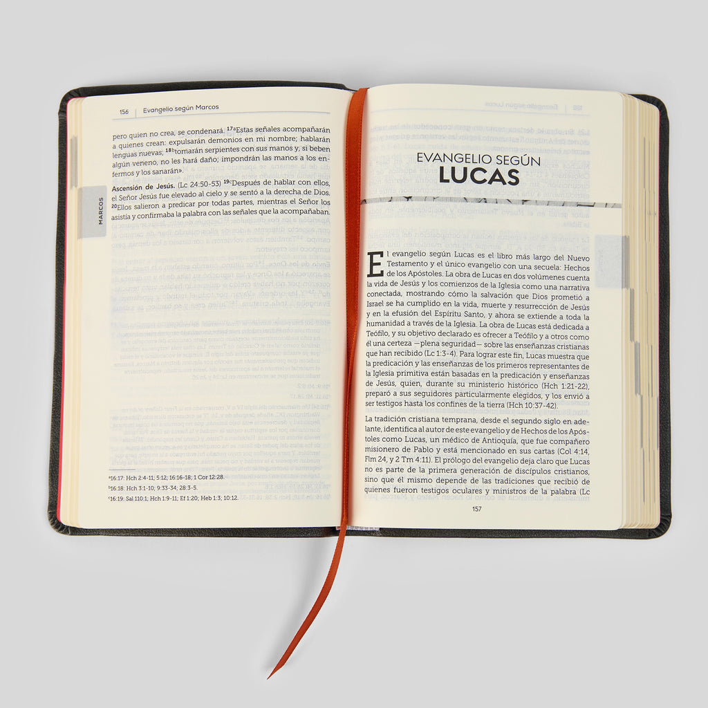 La Biblia de la Iglesia en América: Nuevo Testamento
