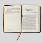 La Biblia de la Iglesia en América: Nuevo Testamento