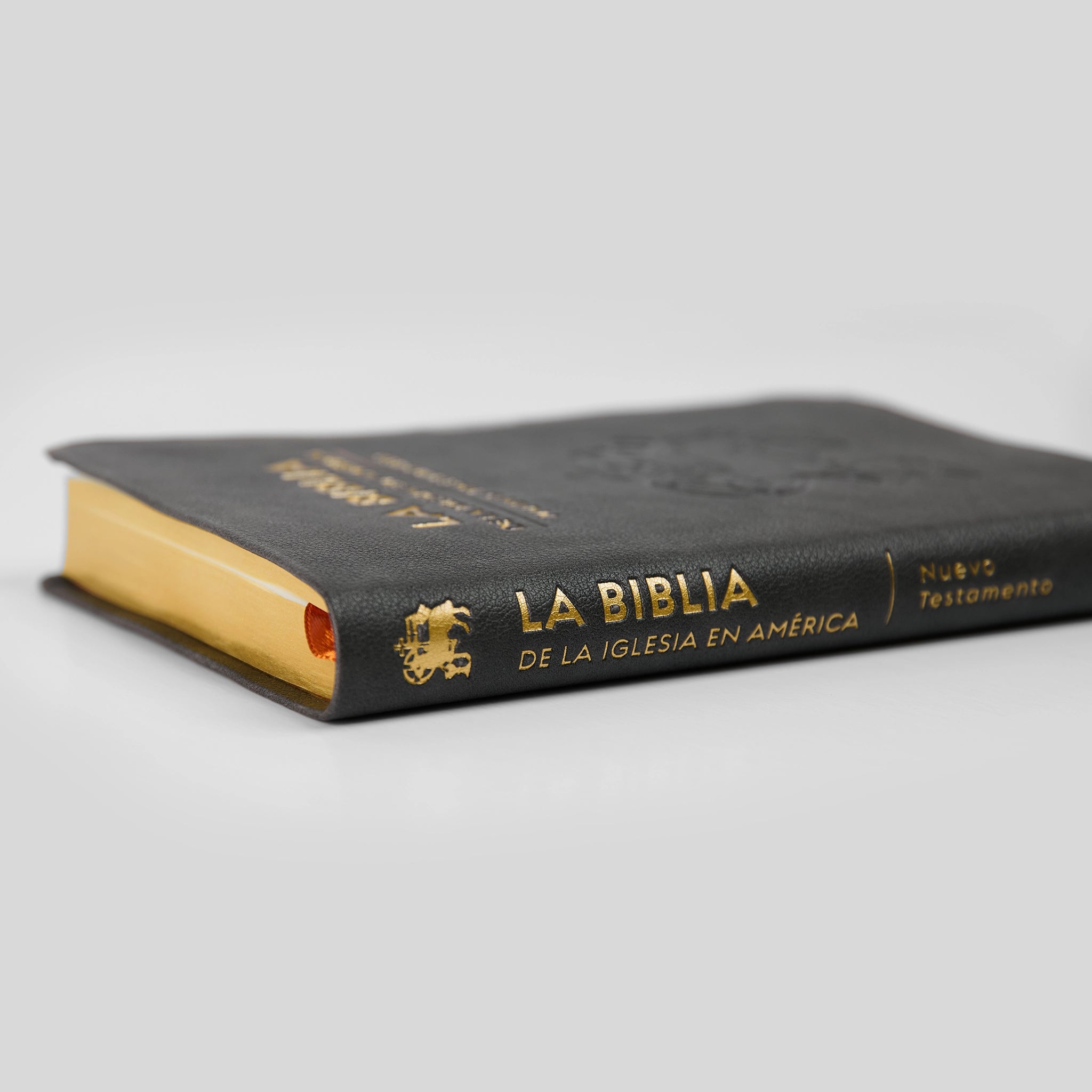 La Biblia de la Iglesia en América: Nuevo Testamento