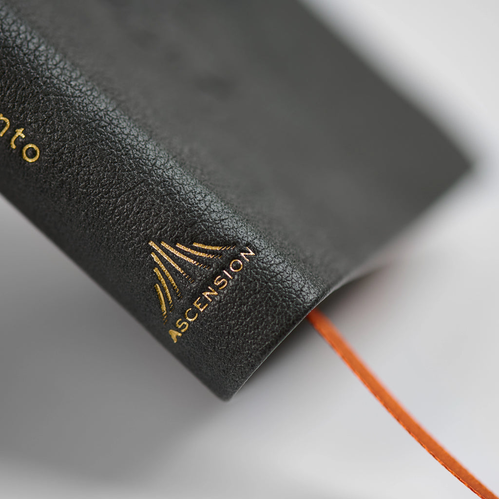 La Biblia de la Iglesia en América: Nuevo Testamento