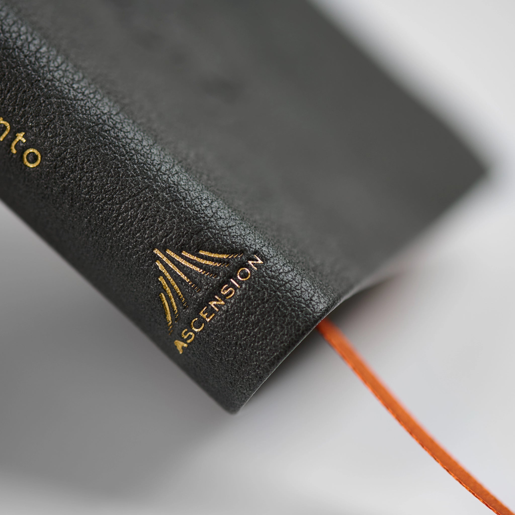 La Biblia de la Iglesia en América: Nuevo Testamento