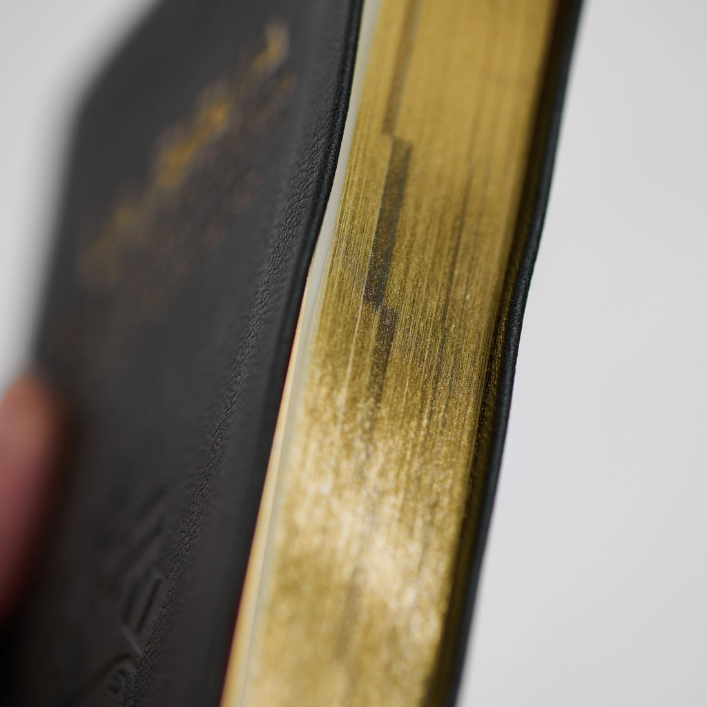 La Biblia de la Iglesia en América: Nuevo Testamento