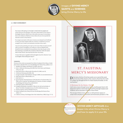 Divine Mercy Catholic Bible