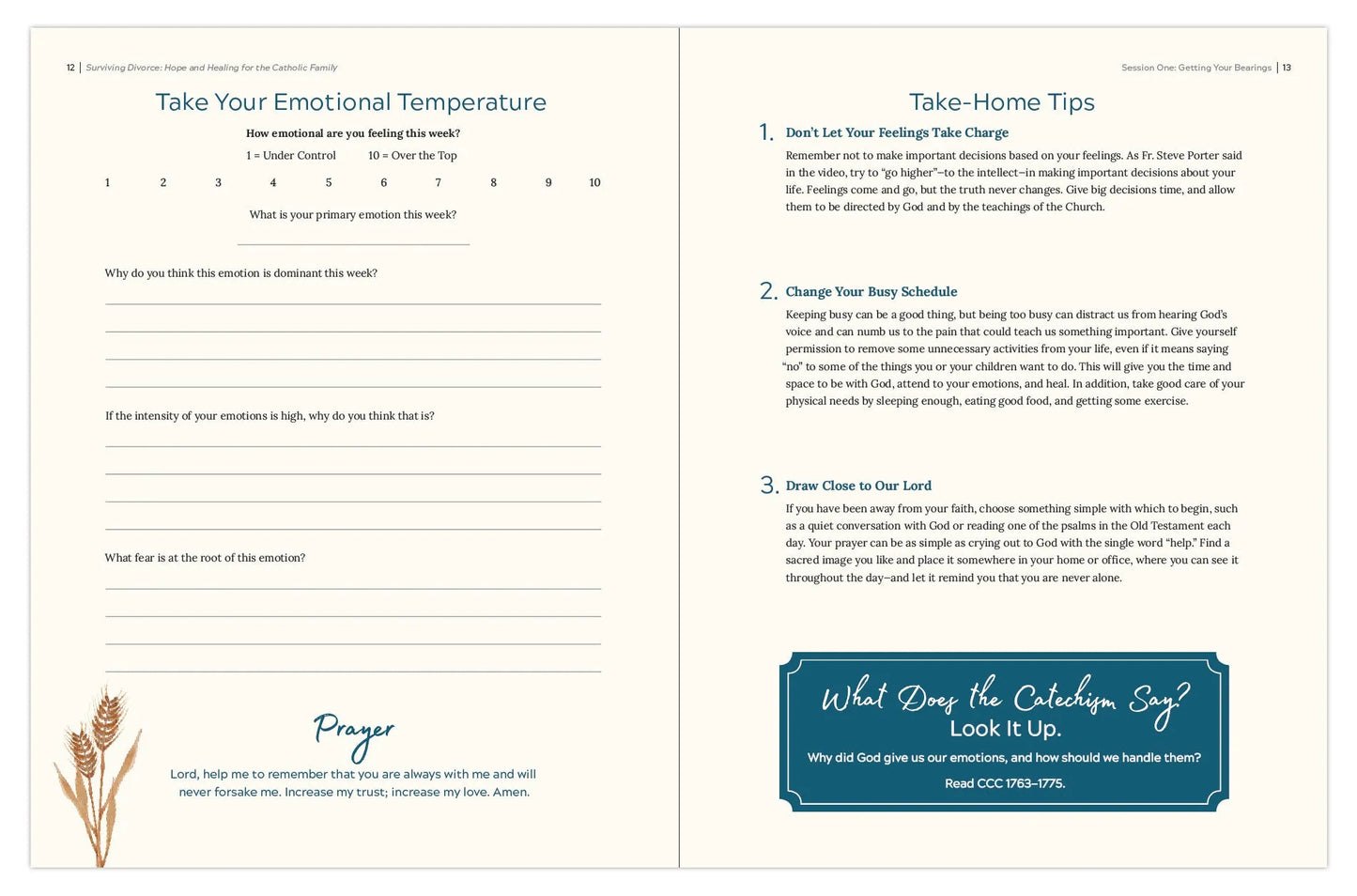 Surviving Divorce: Hope and Healing for the Catholic Family, Starter Pack