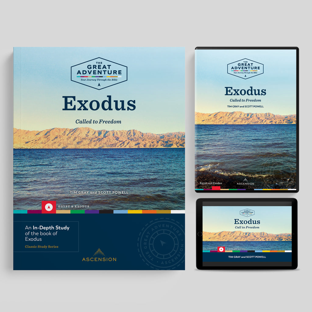 Exodus: Called to Freedom, Starter Pack