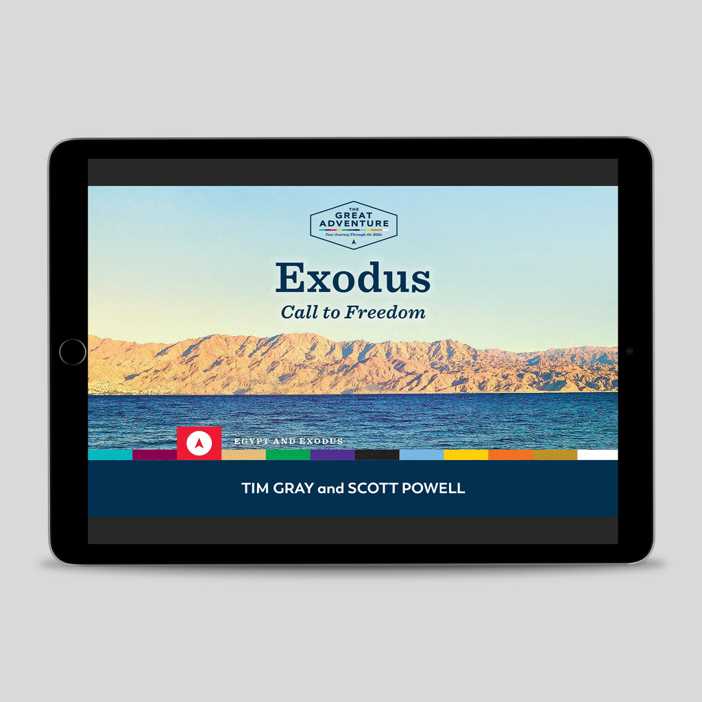 Exodus: Called to Freedom, Starter Pack