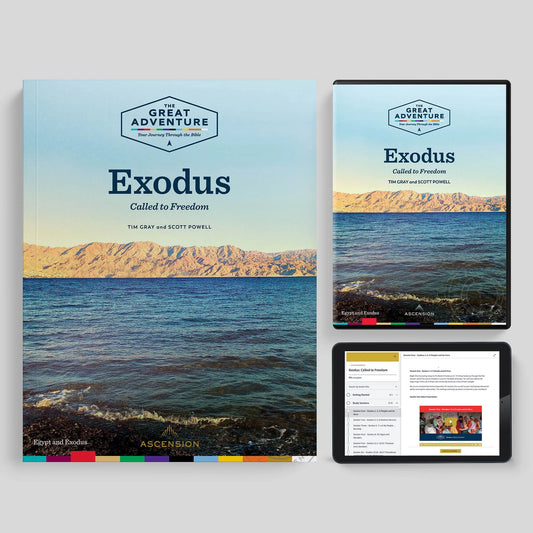 Exodus: Called to Freedom, Starter Pack