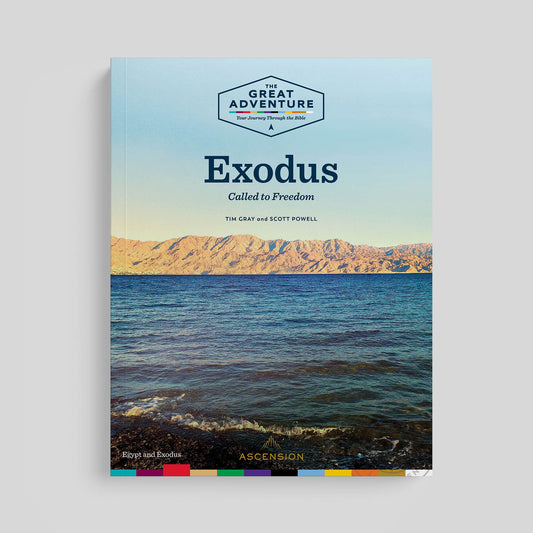 Exodus: Called to Freedom, Workbook