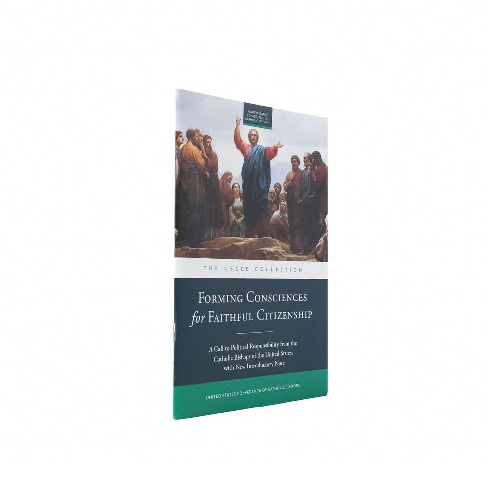Forming Consciences for Faithful Citizenship: A Call to Political Resp ...