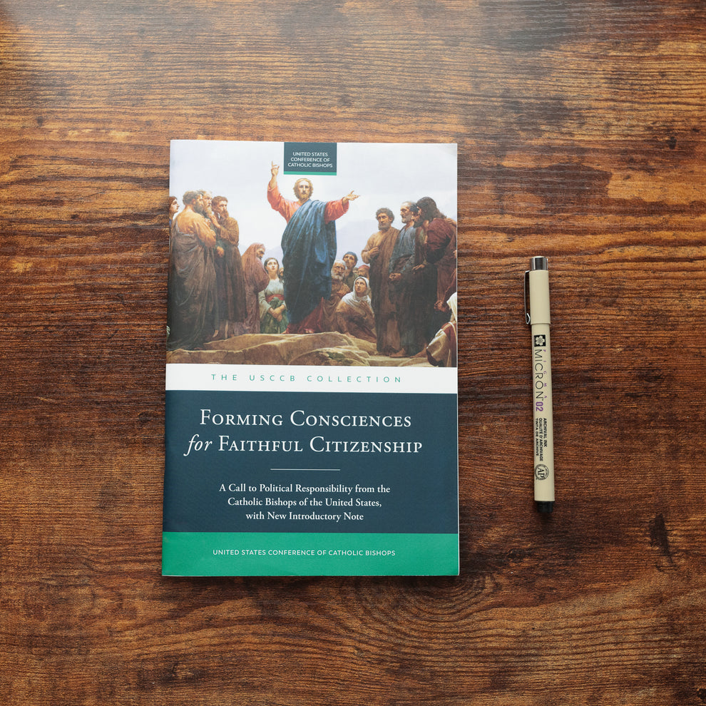 Forming Consciences for Faithful Citizenship: A Call to Political Resp ...