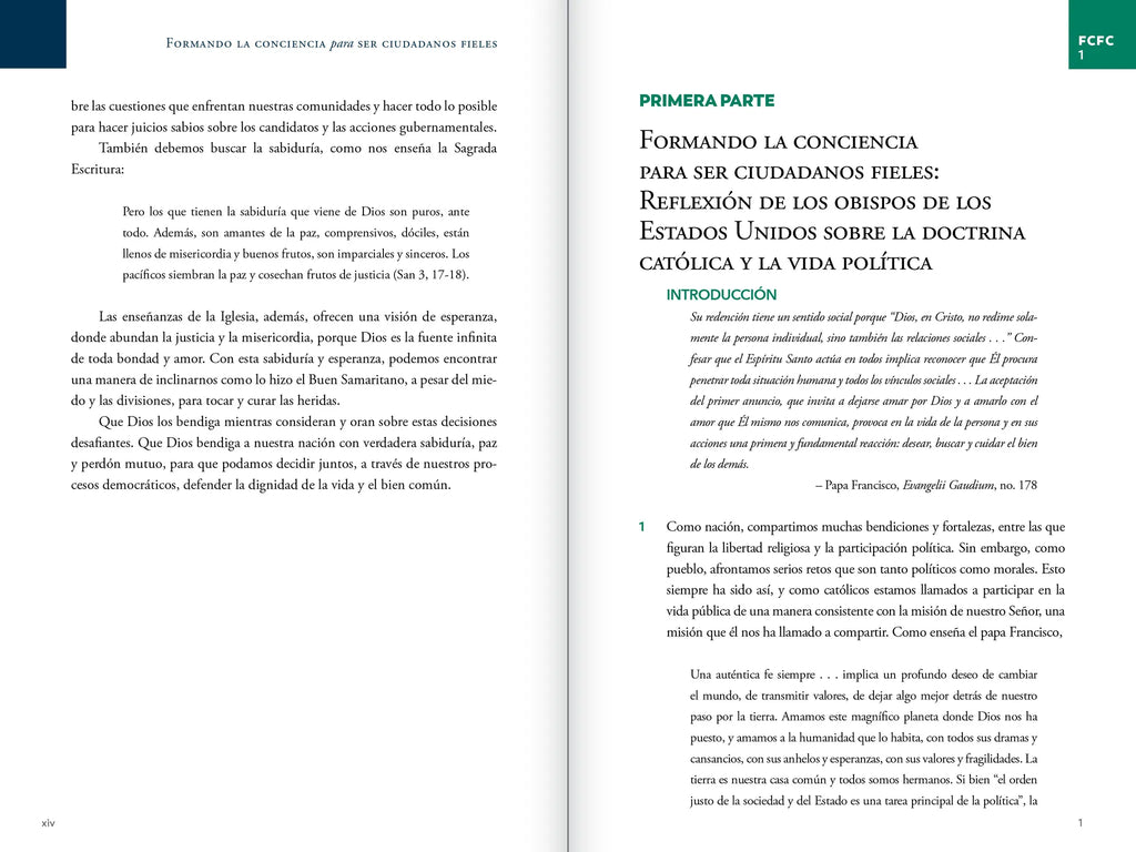 Forming Consciences for Faithful Citizenship: A Call to Political Responsibility