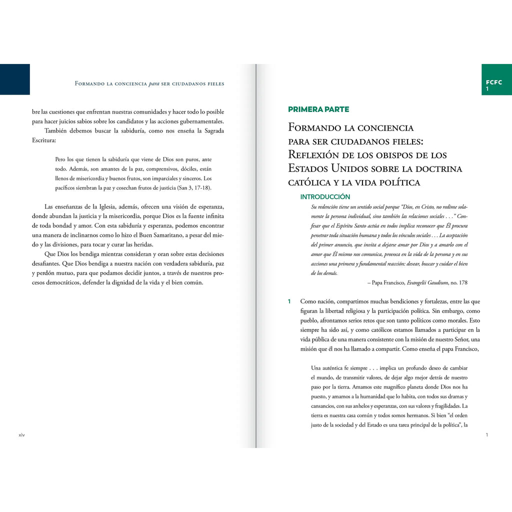 Forming Consciences for Faithful Citizenship: A Call to Political Responsibility