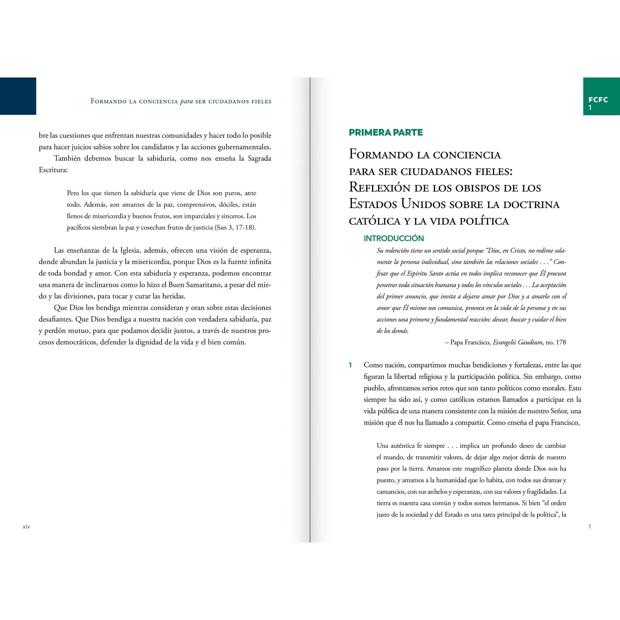Forming Consciences for Faithful Citizenship: A Call to Political Responsibility