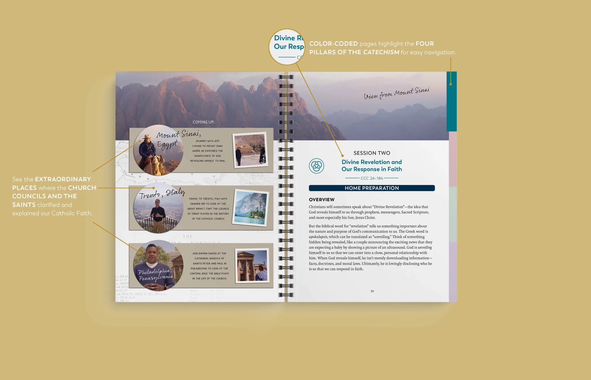 Foundations of Faith Study Set Bundle (with Catechism of the Catholic Church, Ascension Edition)