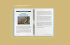 Foundations of Faith: A Journey Through the Catechism of the Catholic Church, Study Set