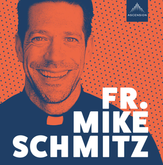 Fr. Mike Schmitz