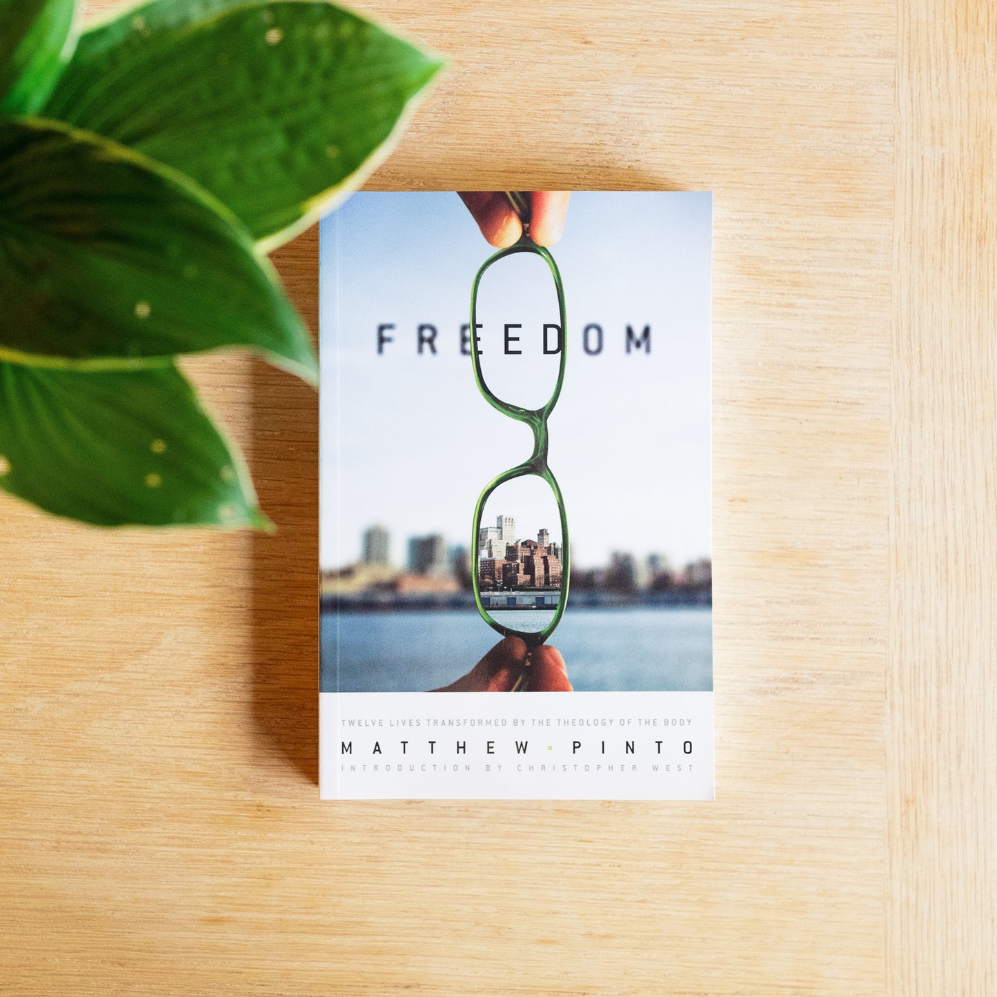 Freedom: 12 Lives Transformed by the Theology of the Body