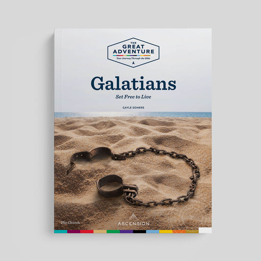 Galatians: Set Free to Live Workbook