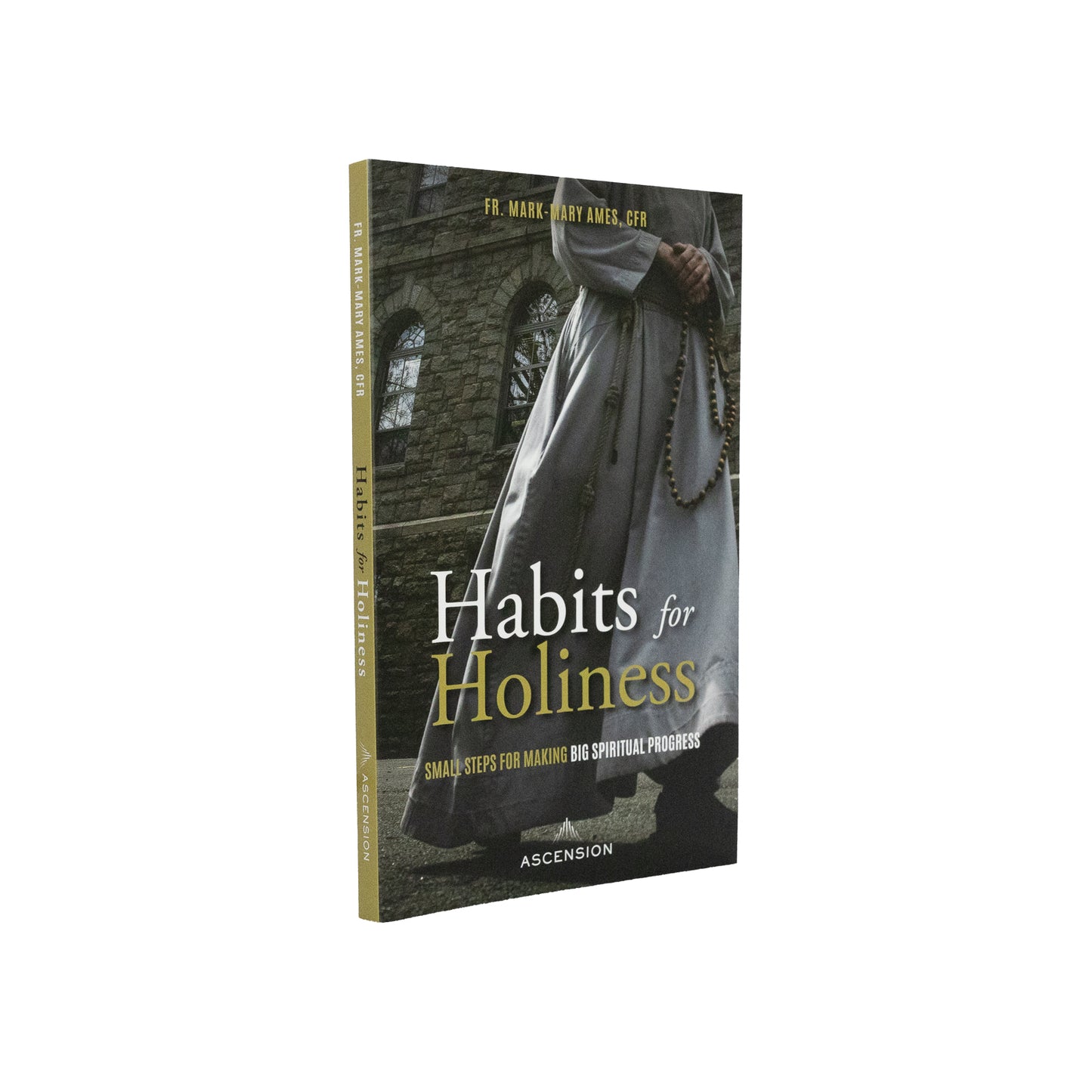 Habits for Holiness: Small Steps for Making Big Spiritual Progress