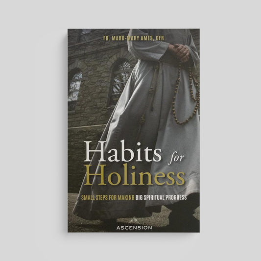 Habits for Holiness: Small Steps for Making Big Spiritual Progress