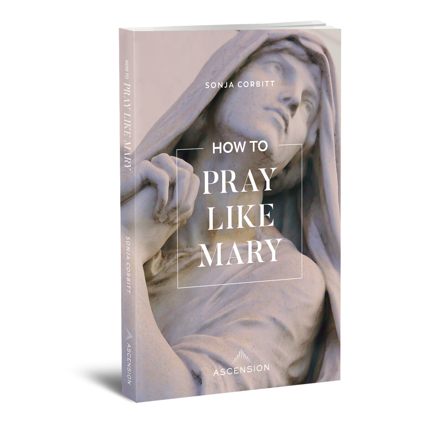 How to Pray Like Mary