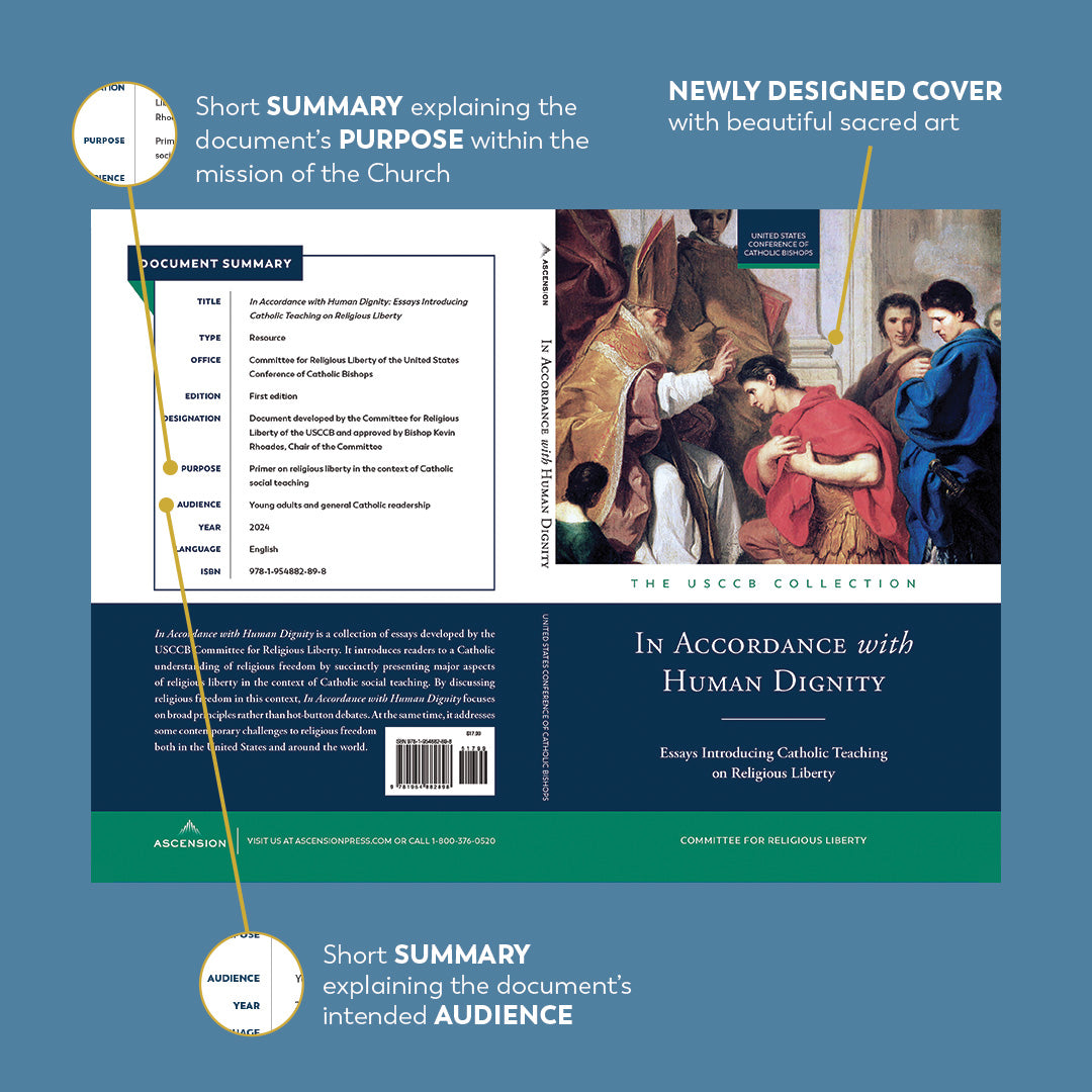 In Accordance with Human Dignity: Essays on Religious Liberty and Catholic Social Teaching