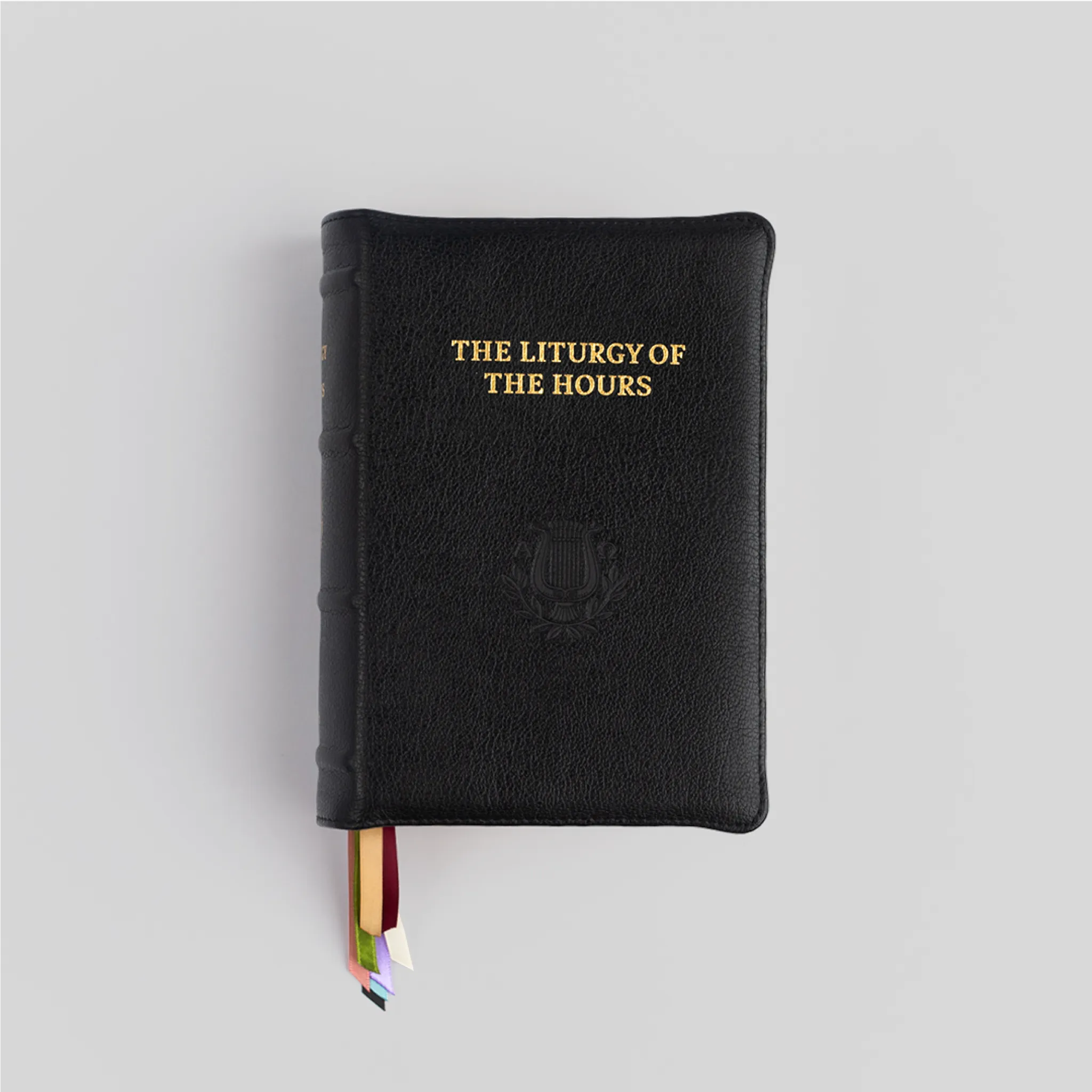 Premium Natural Grain Leather / Standard Print
