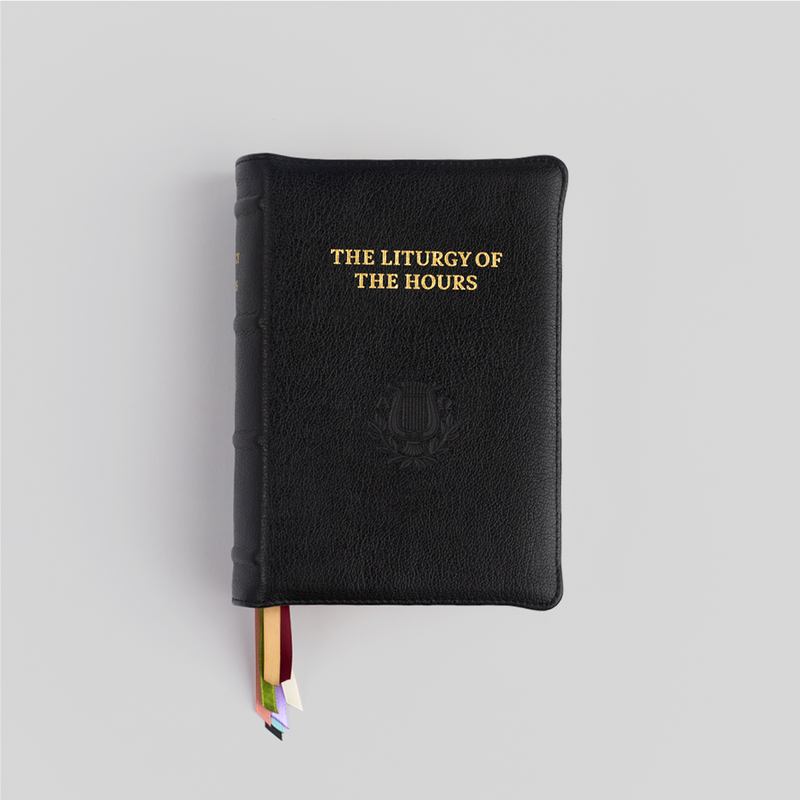 Premium Natural Grain Leather