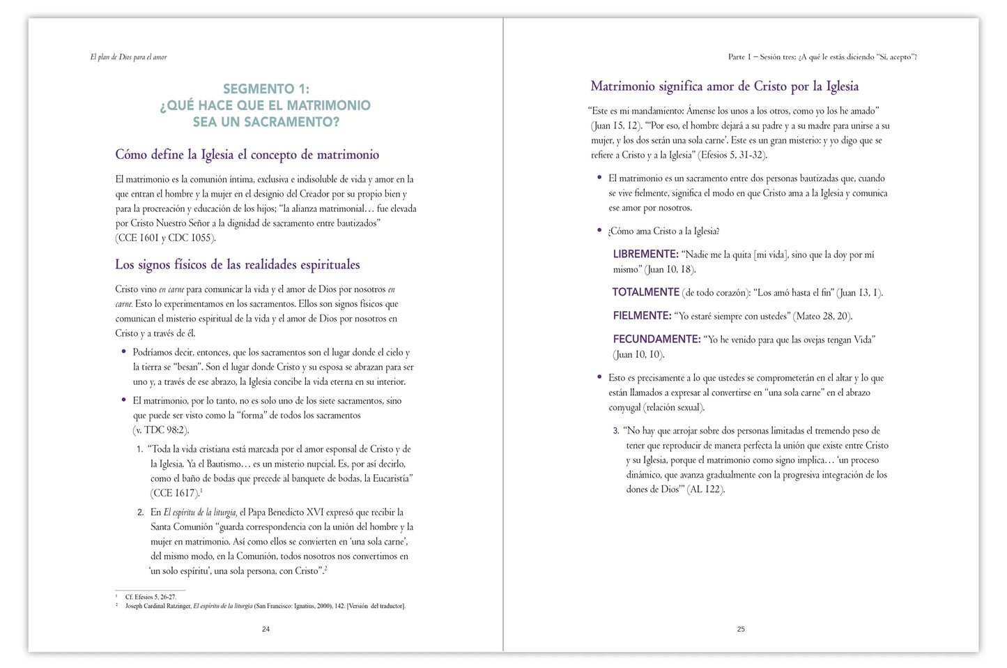 God's Plan for Love, Couple's Guide