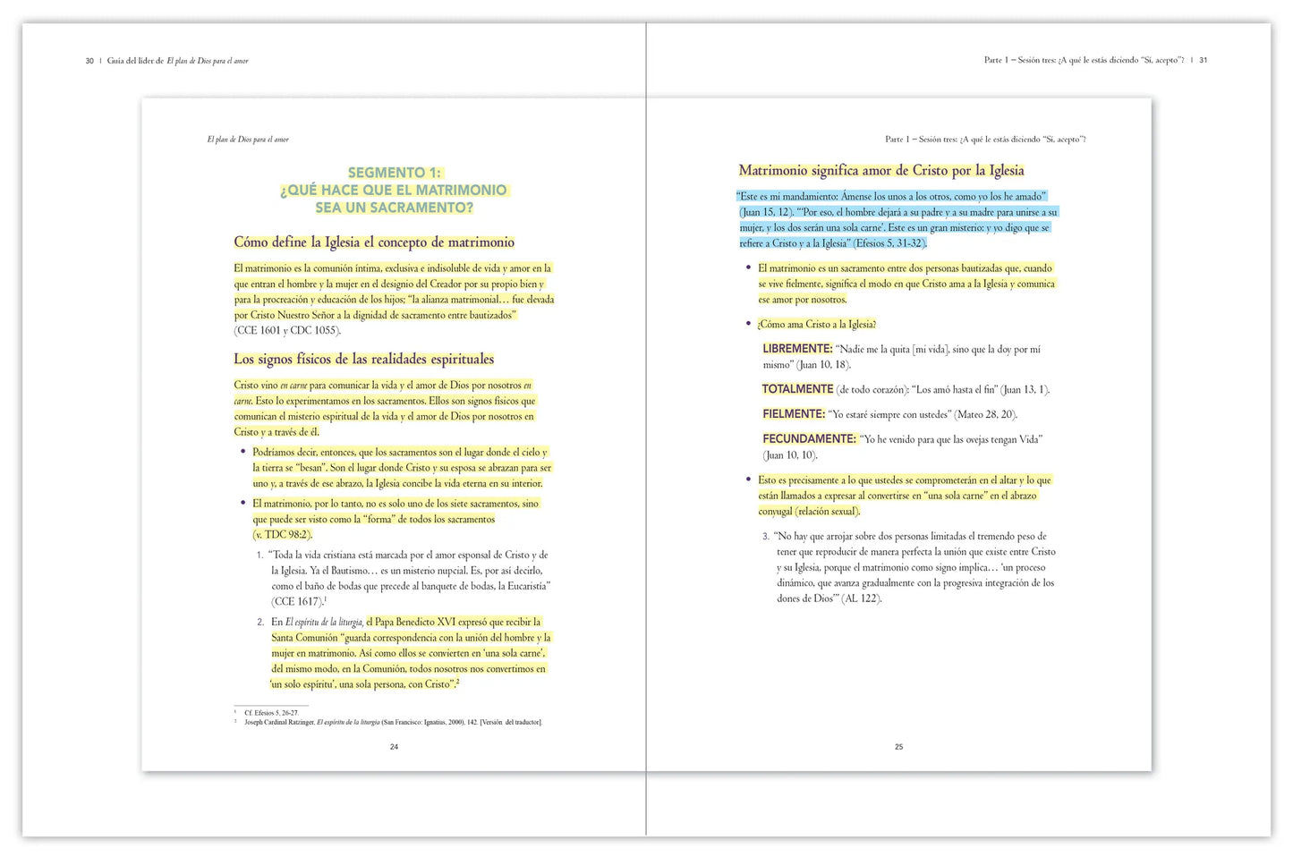 God's Plan for Love, Leader's Guide