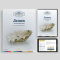 James: Perlas de sabiduría para una vida plena - Kit de inicio
