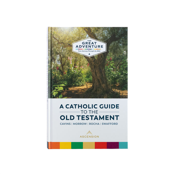 [E-BOOK] A Catholic Guide to the Old Testament