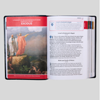 The Great Adventure Catholic Bible for Beginners (Level 2), Classroom Edition